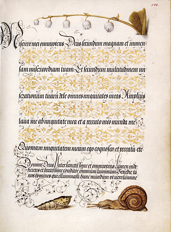 folio 123, mira calligraphiae monumenta, Joris Hoefnagel